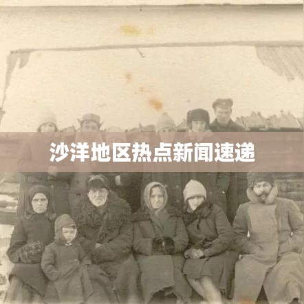 沙洋地区热点新闻速递