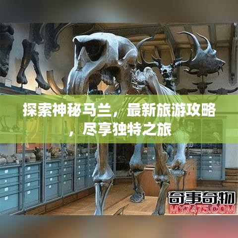 探索神秘马兰，最新旅游攻略，尽享独特之旅