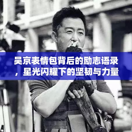 吴京表情包背后的励志语录，星光闪耀下的坚韧与力量