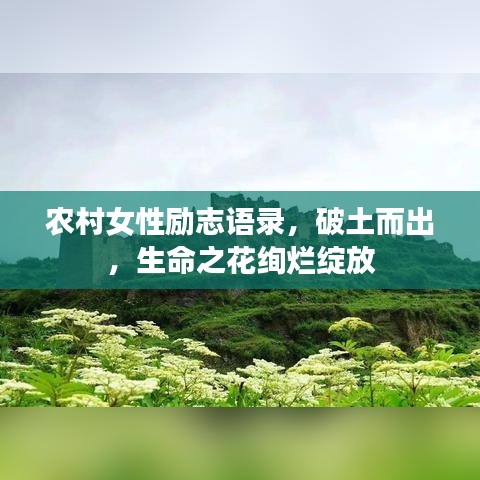 农村女性励志语录，破土而出，生命之花绚烂绽放