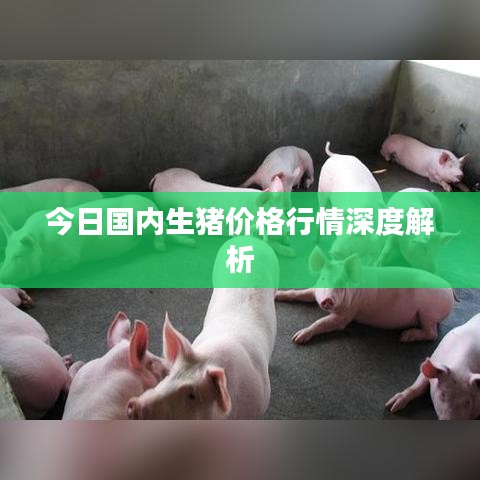 风流人物 第2页