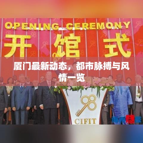 厦门最新动态，都市脉搏与风情一览