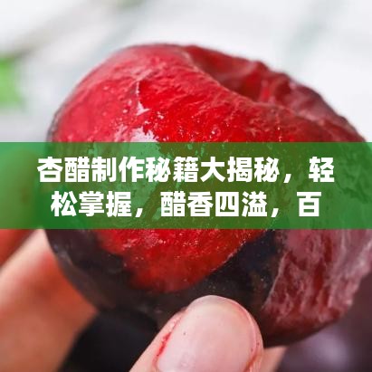 杏醋制作秘籍大揭秘，轻松掌握，醋香四溢，百度收录！