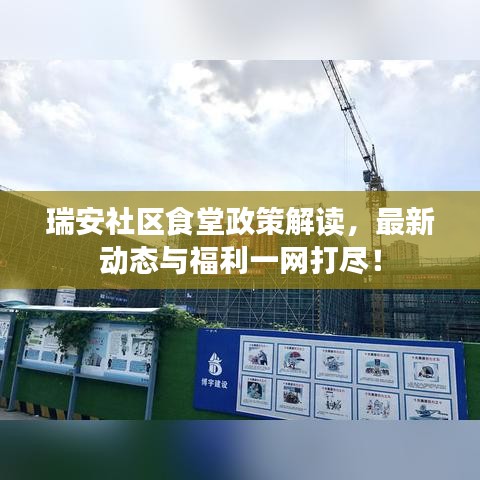 瑞安社区食堂政策解读，最新动态与福利一网打尽！