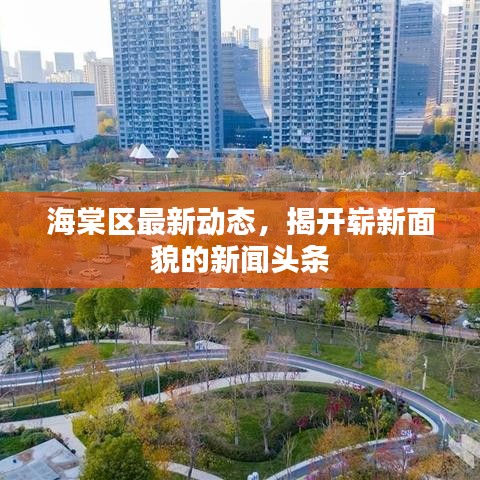 海棠区最新动态，揭开崭新面貌的新闻头条