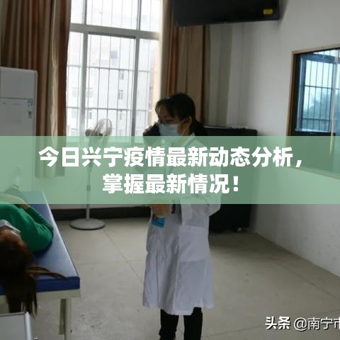 今日兴宁疫情最新动态分析，掌握最新情况！