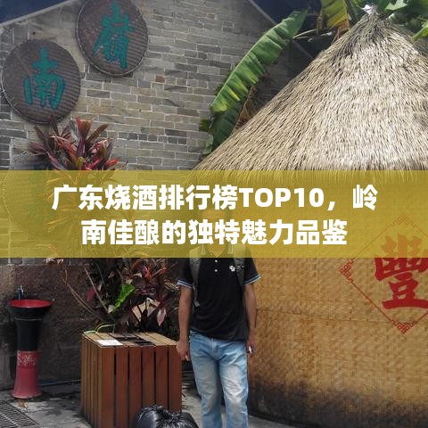 广东烧酒排行榜TOP10，岭南佳酿的独特魅力品鉴