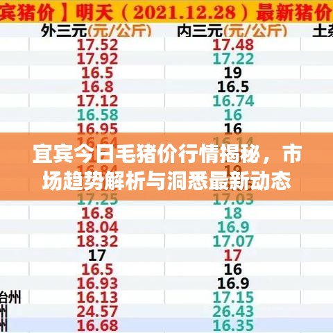 宜宾今日毛猪价行情揭秘，市场趋势解析与洞悉最新动态