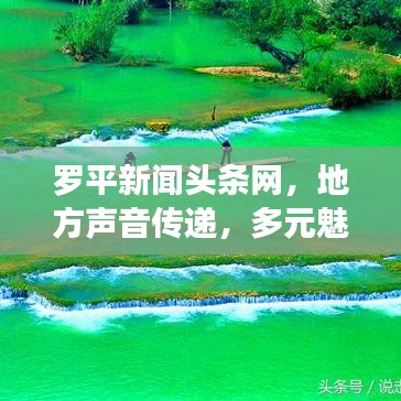 罗平新闻头条网，地方声音传递，多元魅力展现