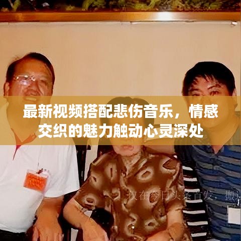 鸢飞鱼跃 第2页