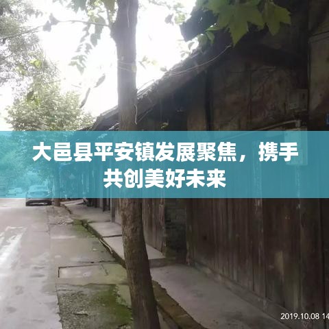 大邑县平安镇发展聚焦，携手共创美好未来