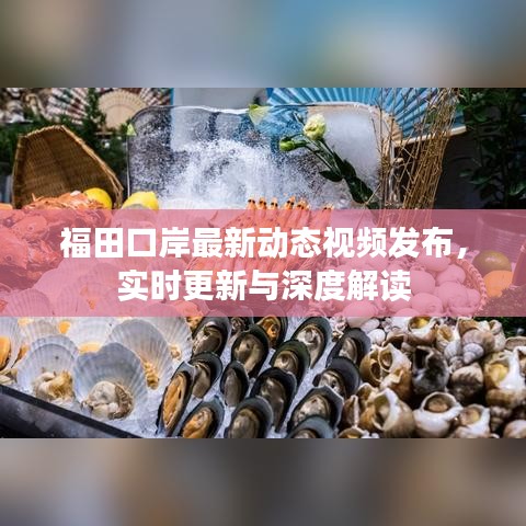 福田口岸最新动态视频发布，实时更新与深度解读