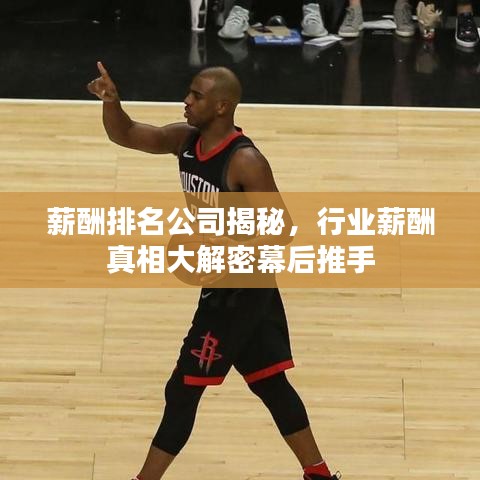薪酬排名公司揭秘，行业薪酬真相大解密幕后推手
