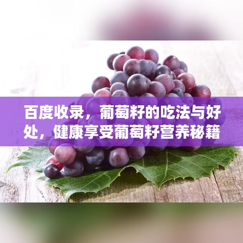 百度收录，葡萄籽的吃法与好处，健康享受葡萄籽营养秘籍！