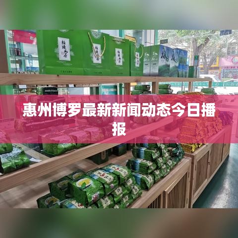 惠州博罗最新新闻动态今日播报