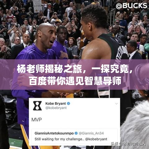 杨老师揭秘之旅，一探究竟，百度带你遇见智慧导师