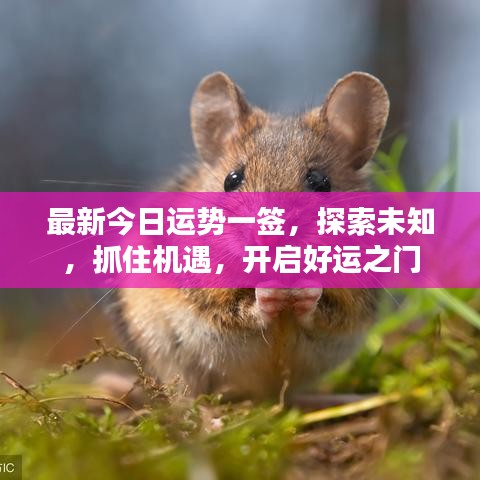 最新今日运势一签，探索未知，抓住机遇，开启好运之门