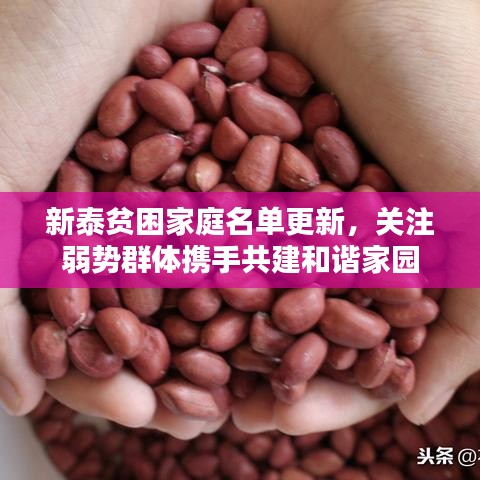 新泰贫困家庭名单更新，关注弱势群体携手共建和谐家园