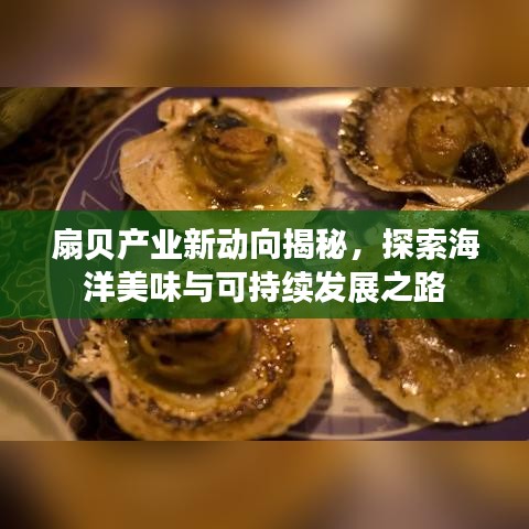 扇贝产业新动向揭秘，探索海洋美味与可持续发展之路