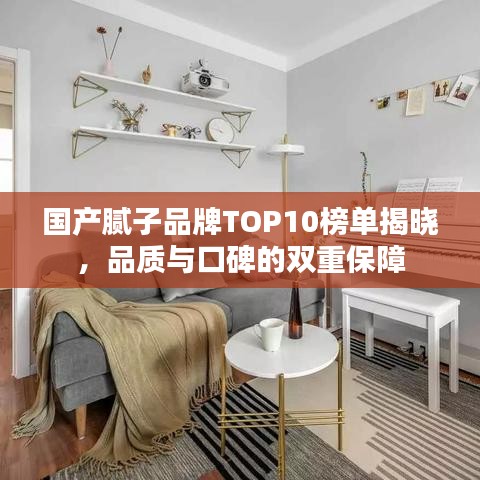 国产腻子品牌TOP10榜单揭晓，品质与口碑的双重保障