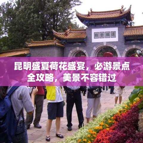昆明盛夏荷花盛宴，必游景点全攻略，美景不容错过