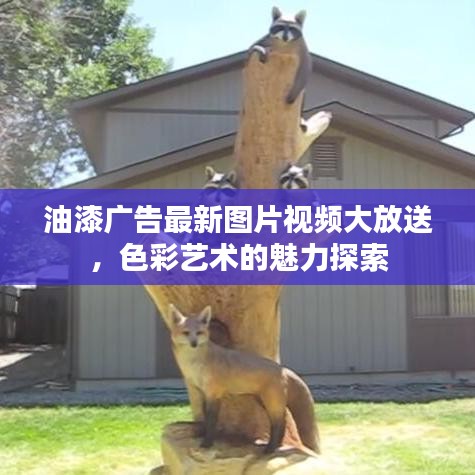 油漆广告最新图片视频大放送，色彩艺术的魅力探索