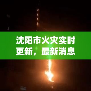 沈阳市火灾实时更新，最新消息与现场情况速览