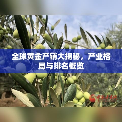 全球黄金产销大揭秘，产业格局与排名概览