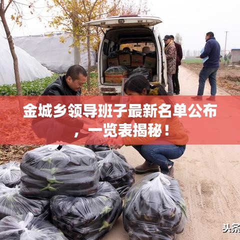 金城乡领导班子最新名单公布，一览表揭秘！