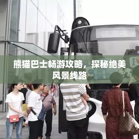 熊猫巴士畅游攻略，探秘绝美风景线路