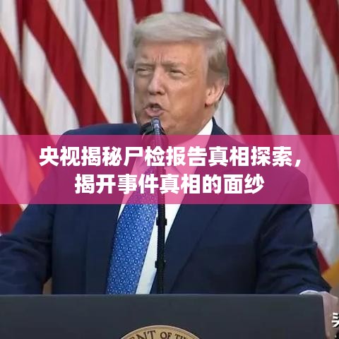 央视揭秘尸检报告真相探索，揭开事件真相的面纱