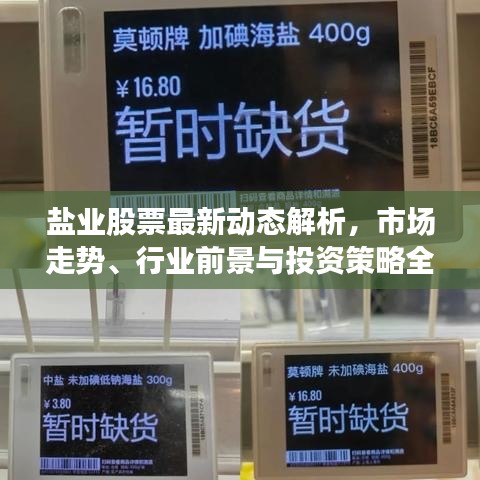 盐业股票最新动态解析，市场走势、行业前景与投资策略全解读