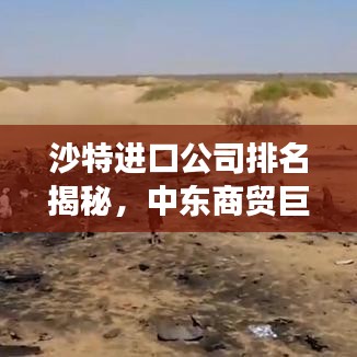 沙特进口公司排名揭秘，中东商贸巨头实力榜单重磅出炉！