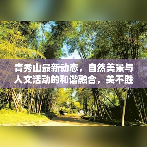 青秀山最新动态，自然美景与人文活动的和谐融合，美不胜收！