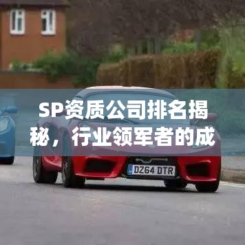 SP资质公司排名揭秘，行业领军者的成功秘诀与秘密！