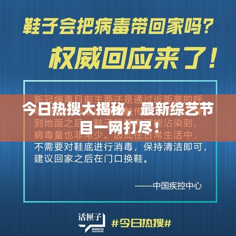 今日热搜大揭秘，最新综艺节目一网打尽！
