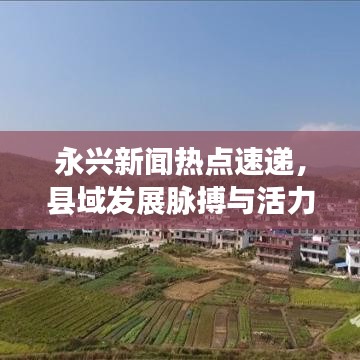 永兴新闻热点速递，县域发展脉搏与活力探索