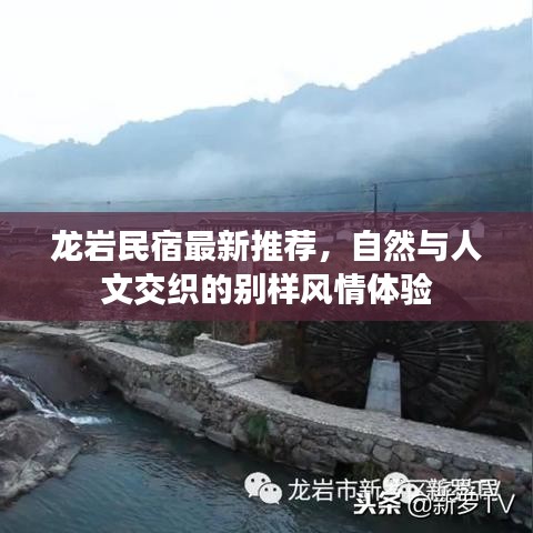 龙岩民宿最新推荐，自然与人文交织的别样风情体验