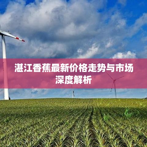 湛江香蕉最新价格走势与市场深度解析