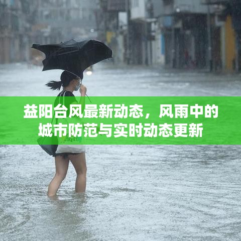 益阳台风最新动态，风雨中的城市防范与实时动态更新