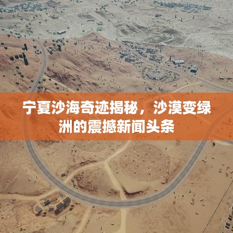 宁夏沙海奇迹揭秘，沙漠变绿洲的震撼新闻头条