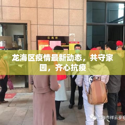龙海区疫情最新动态，共守家园，齐心抗疫