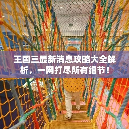 王国三最新消息攻略大全解析，一网打尽所有细节！