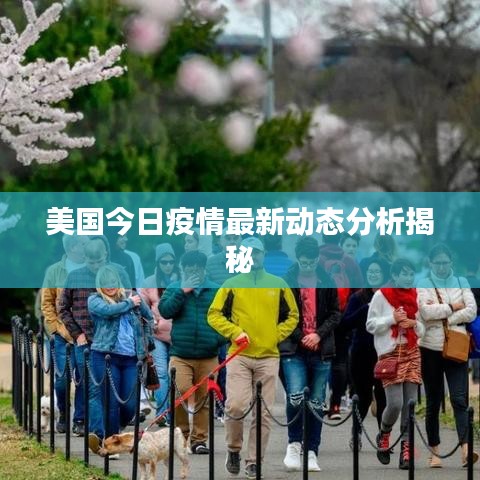美国今日疫情最新动态分析揭秘