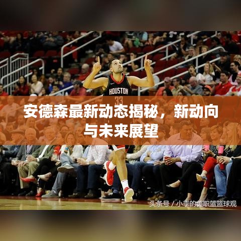 安德森最新动态揭秘，新动向与未来展望