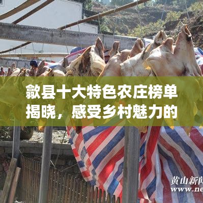 歙县十大特色农庄榜单揭晓，感受乡村魅力的必去之地