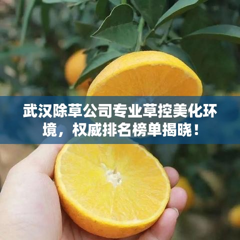 武汉除草公司专业草控美化环境，权威排名榜单揭晓！