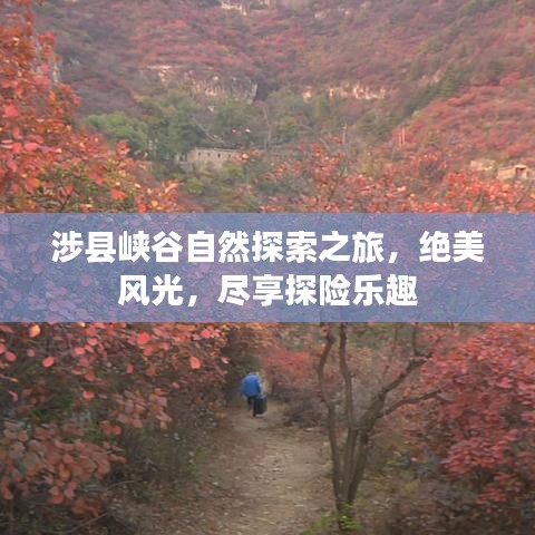 涉县峡谷自然探索之旅，绝美风光，尽享探险乐趣