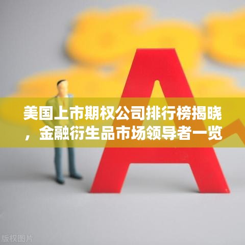 美国上市期权公司排行榜揭晓，金融衍生品市场领导者一览