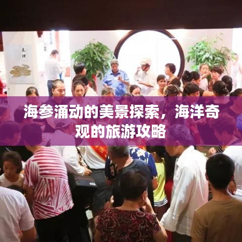 海参涌动的美景探索，海洋奇观的旅游攻略
